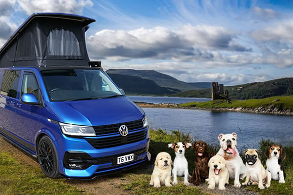 Dog Friendly Campervan Hire